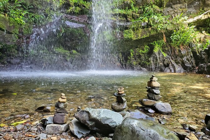 Private Rainforest Waterfalls and Beach Hiking Tour from San Juan - How this compares with a standard sightseeing day