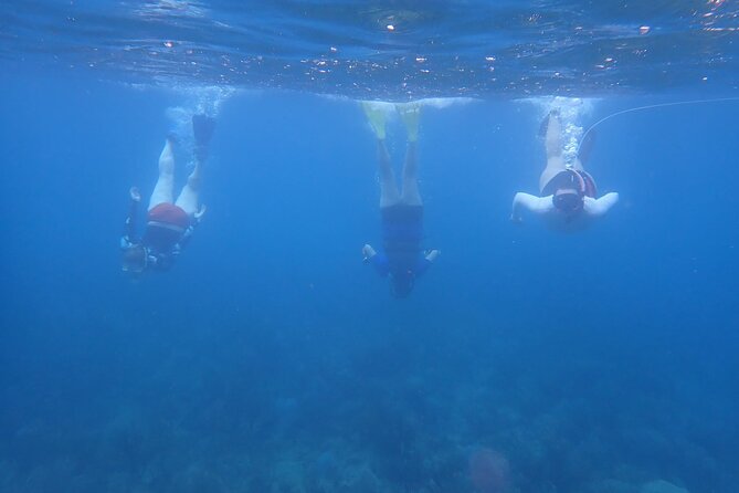 Private Rincon Snorkeling Adventure - Reaching local beaches and the Tres Palmas reef