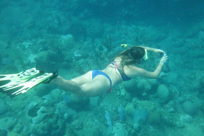 Private Rincon Snorkeling Adventure - What Shawn and Tiger add to the experience