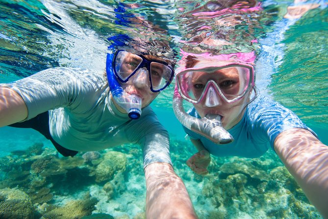 Private Rincon Snorkeling Adventure - Meeting at 9:00 am in Rincón