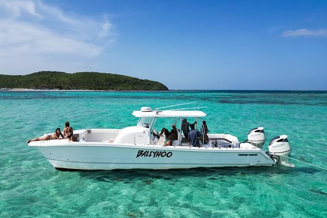 Private Snorkel and Cruise Experience in Ceiba - Why this private Ceiba charter works well
