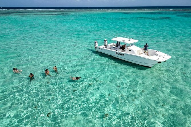 Private Snorkel and Cruise Experience in Ceiba - Starting from Roosevelt Roads in Ceiba