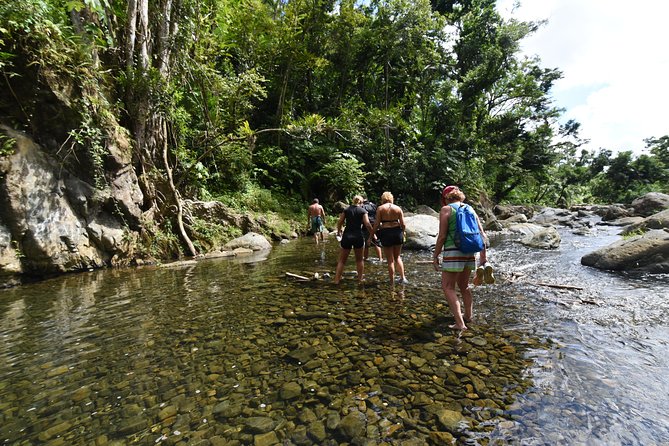 Private Tour of El Yunque Rainforest from San Juan - Las Tinajas and Charco Frío: the active route