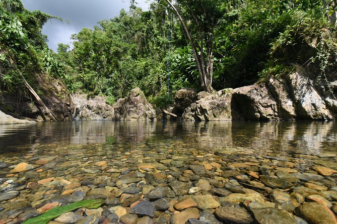 Private Tour of El Yunque Rainforest from San Juan - What the $1,500 price means