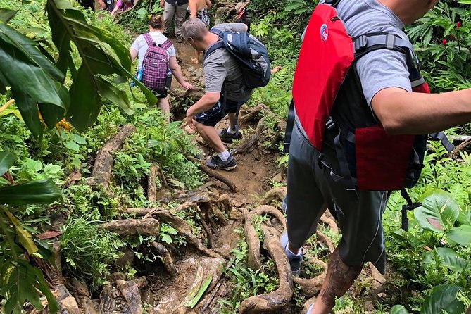 Private Tour of El Yunque Rainforest from San Juan - The gentler El Yunque choice