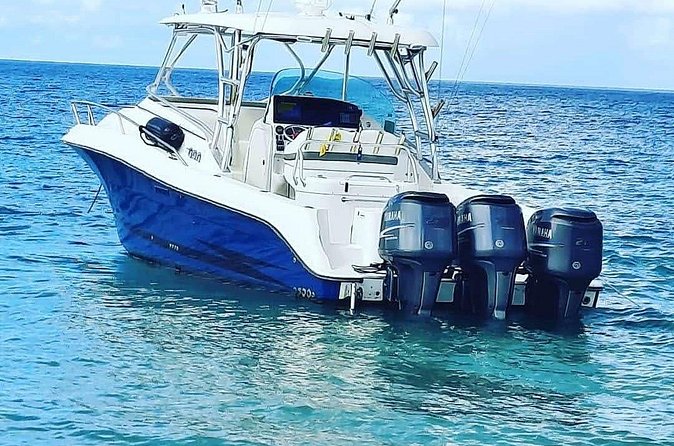 Private Tour to Cayo Icacos and Palomino Island - Weather, timing, and cancellation details