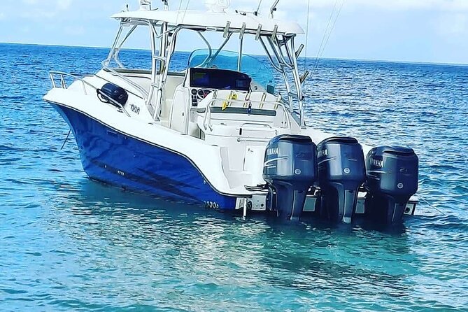 Private Tour to Cayo Icacos and Palomino Island - Food, drinks, and music make the boat feel personal