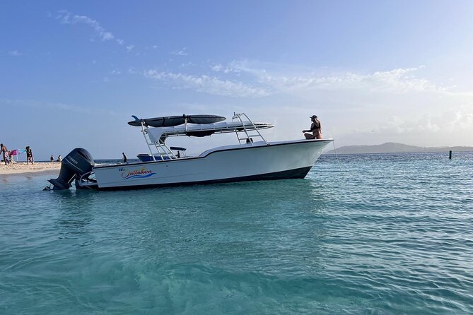 Public or Private Boat Trip to Icacos & Palomino - What lunch and drinks really add
