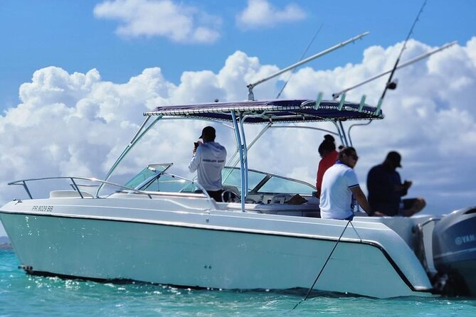 Public or Private Boat Trip to Icacos & Palomino - The hosts shape the day