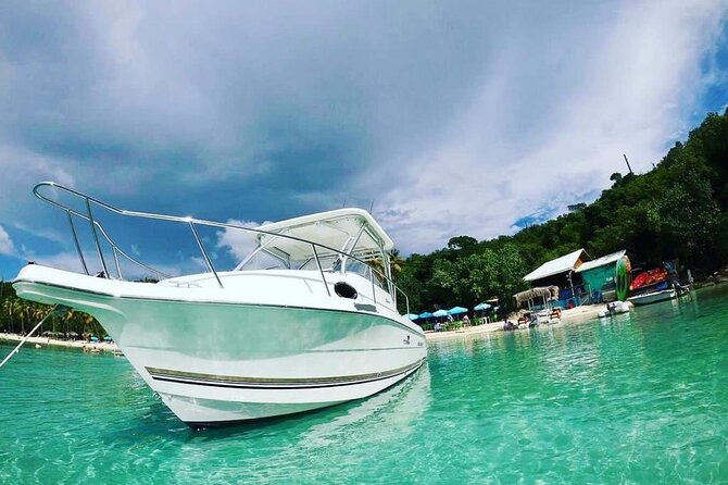 Public or Private Boat Trip to Icacos & Palomino - Who should book this four-hour charter?