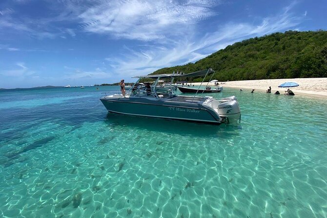 Public or Private Boat Trip to Icacos & Palomino - Booking details worth confirming
