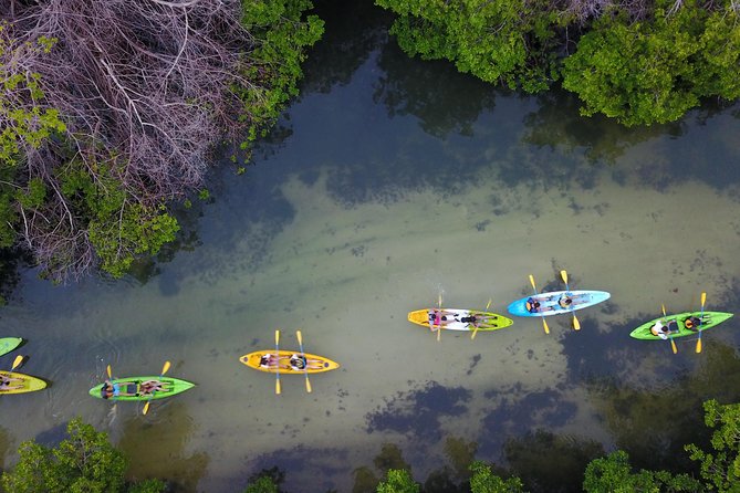 Puerto Rico Bio Bay Kayak Adventure Tour - What to wear and what to bring