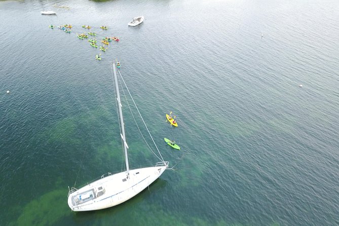 Puerto Rico Bio Bay Kayak Adventure Tour - Is $65 a fair price?