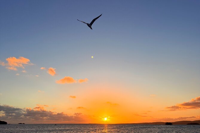 Puerto Rico: Bio Bay Swim and Sunset Charter or Late night tour - Is the $65 price good value?