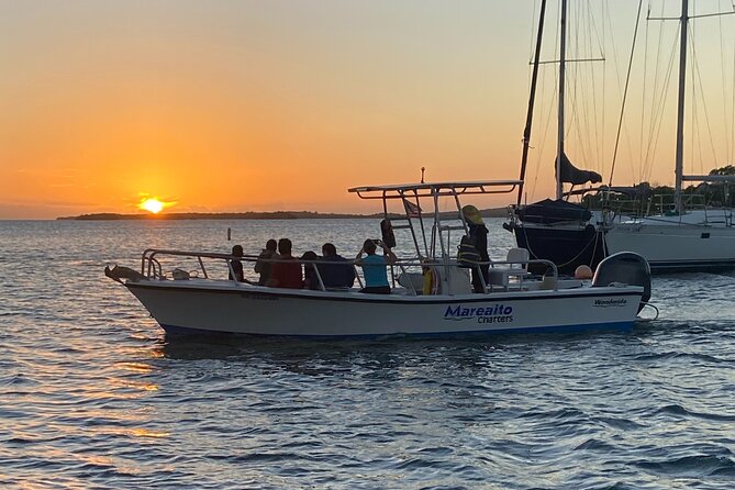 Puerto Rico: Bio Bay Swim and Sunset Charter or Late night tour - The main drawbacks to consider