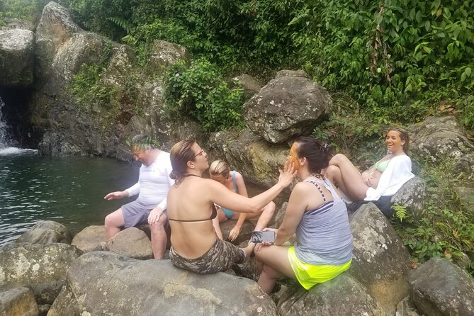Puerto Rico Countryside Tour with Visit to Waterfall - Lunch at a countryside chinchorro