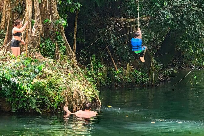 Puerto Rico El Yunque Rainforest with Transportation - The real nature of this El Yunque adventure