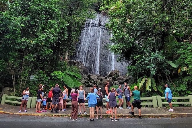 Puerto Rico: El Yunque Sightseeing Half-Day Tour w/Transfer - The drive from Isla Verde into the rainforest