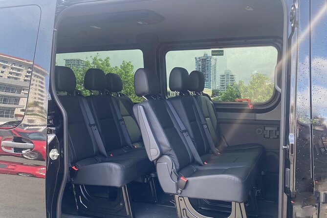 Puerto Rico Island Wide Private Transfers, 11Pax Lux Sprinter Van - Cruise ports, hotels, Airbnbs, and ferry connections