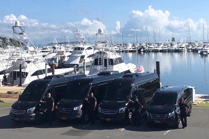 Puerto Rico Island Wide Private Transfers, 14Pax Lux Sprinter Van - Key details before you reserve