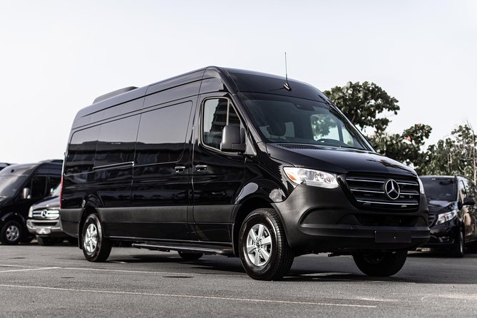 Puerto Rico Island Wide Private Transfers, 14Pax Lux Sprinter Van - A private van that solves the group-transfer problem