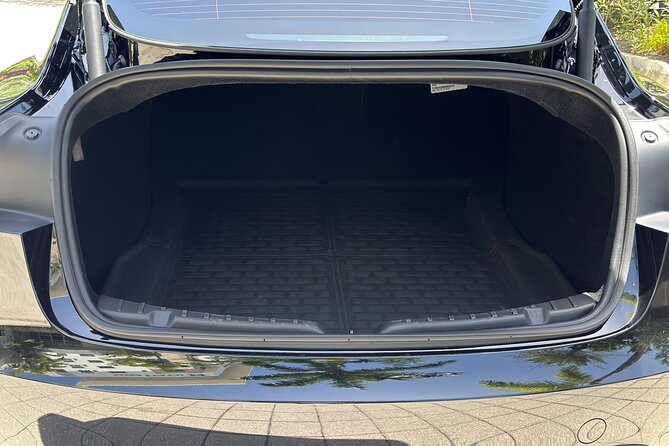 Puerto Rico Island Wide Private Transfers, Tesla 3 Luxury Sedan. - Who should book this transfer?