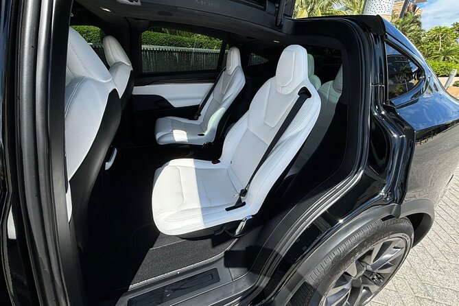 Puerto Rico Island Wide Transfer, Tesla Model X Luxury SUV. - A private airport or cruise-port ride without the taxi hunt