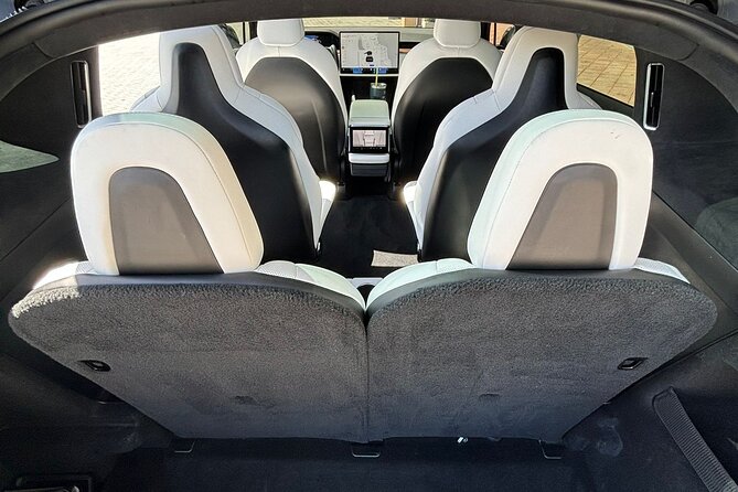 Puerto Rico Island Wide Transfer, Tesla Model X Luxury SUV. - Who should book this transfer