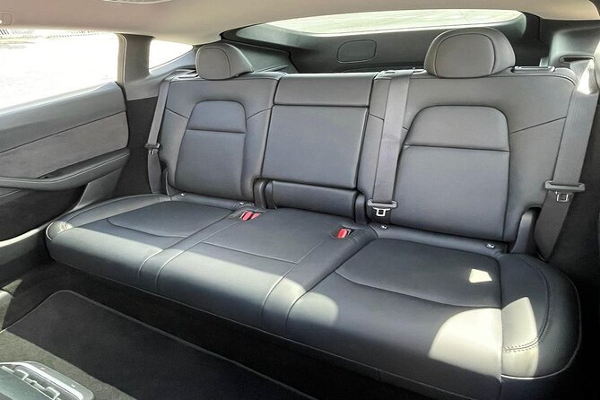 Puerto Rico Island Wide Transfer, Tesla Y Luxury SUV, Select Zone - A few details worth confirming before departure