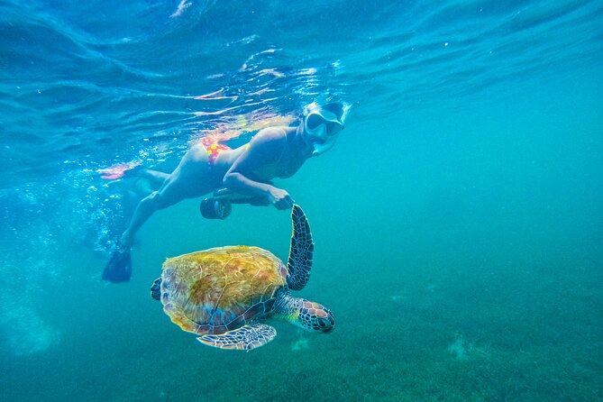 Puerto Rico Jet Snorkel with Turtles and Videos in San Juan - Meeting at Escambron Beach near Old San Juan