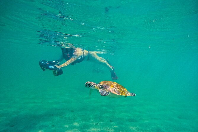 Puerto Rico Jet Snorkel with Turtles and Videos in San Juan - Using the jet snorkel in the bay