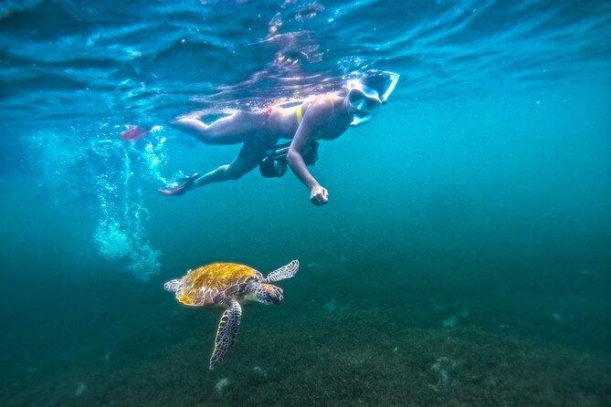 Puerto Rico Jet Snorkel with Turtles and Videos in San Juan - The briefing and gear fitting come first
