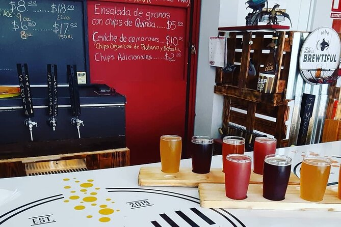 Puerto Rico's First and Only Craft Beer Brewery Tour! - What makes the breweries worth visiting