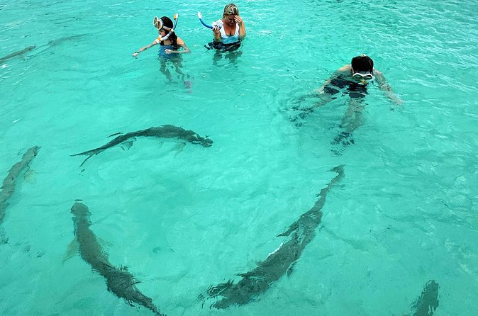 Puerto Rico's Only Private, VIP & Filmed Bio Bay Swim Experience - Why the guides matter