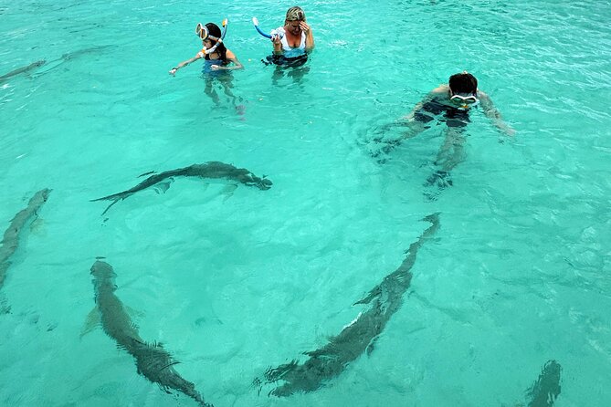 Puerto Rico's Only Private, VIP & Filmed Bio Bay Swim Experience - Who will enjoy this day most