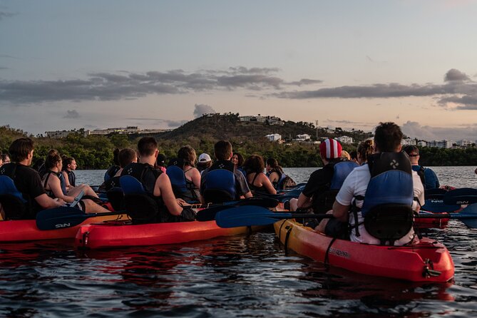 Puerto Rico Sunset Magic: Bio Bay Kayaking Tour from Fajardo - From Kayak Village to the mangrove canal