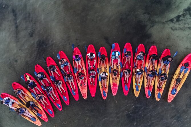 Puerto Rico Sunset Magic: Bio Bay Kayaking Tour from Fajardo - The return paddle is the demanding part
