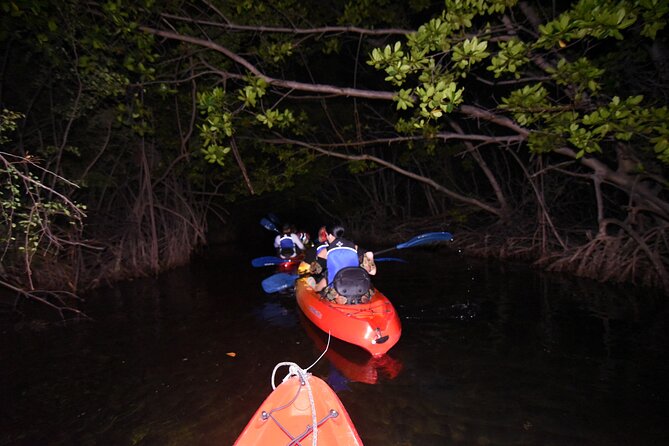 Puerto Rico Sunset Magic: Bio Bay Kayaking Tour from Fajardo - Price, group size, and the fine print