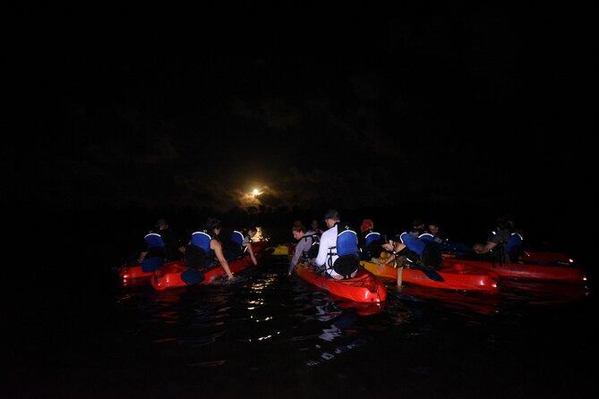 Puerto Rico Sunset Magic: Bio Bay Kayaking Tour from Fajardo - Who should book this Fajardo tour?