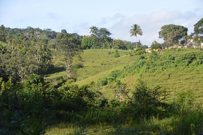 Puerto Rico Waterfall Hiking Tour: Discover Hidden Gems 2.0 - A mountain day trip that earns its waterfall