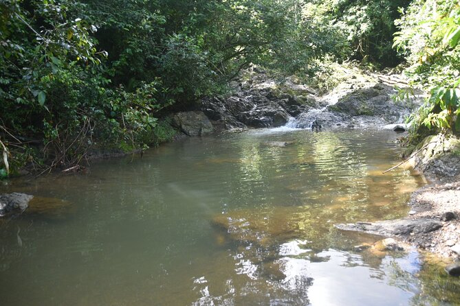 Puerto Rico Waterfall Hiking Tour: Discover Hidden Gems 2.0 - The waterfall and its natural pools