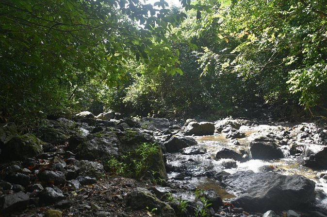 Puerto Rico Waterfall Hiking Tour: Discover Hidden Gems 2.0 - Why footwear matters more than almost anything else