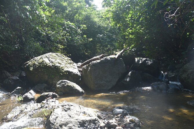 Puerto Rico Waterfall Hiking Tour: Discover Hidden Gems 2.0 - Guides who shape the day