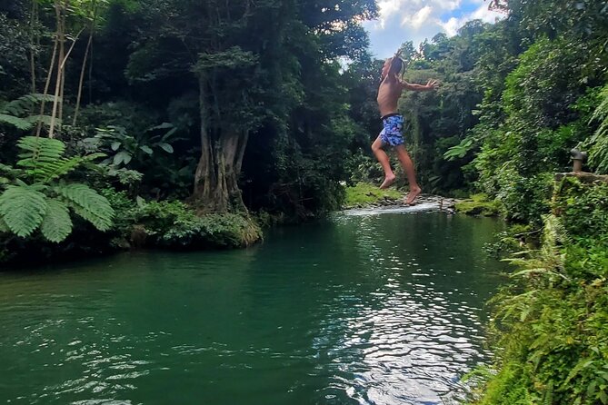 Rainforest and Junglequi Zipline Combo Tour - Luquillo kiosks, lunch, and a beach pause