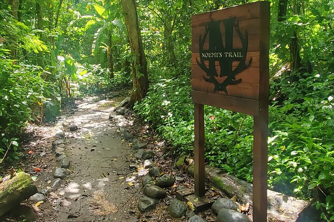 Rainforest and Junglequi Zipline Combo Tour - Booking, weather, and cancellation details