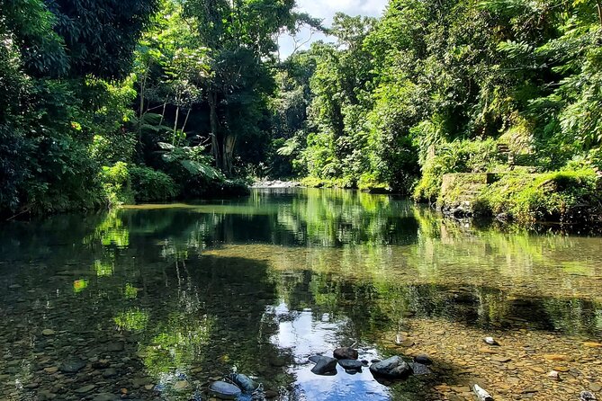 Rainforest and Junglequi Zipline Combo Tour - Nine rainforest ziplines above the trees