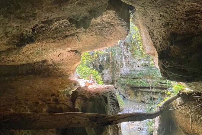 Rainforest Caves and Waterfalls Exploration with Transportation - What the $110 price really covers