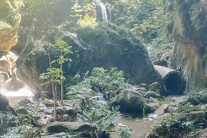 Rainforest Caves and Waterfalls Exploration with Transportation - Who will enjoy this most