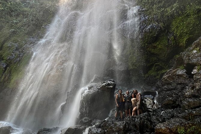 Rainforest Hike to Hidden Waterfall in Puerto Rico with Transport - Key points at a glance