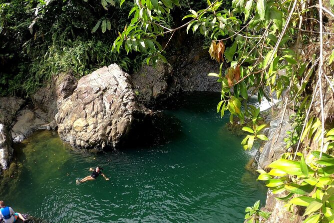 Rainforest Nature Walk & Luquillo Beach Combo - What this $75 day actually gives you